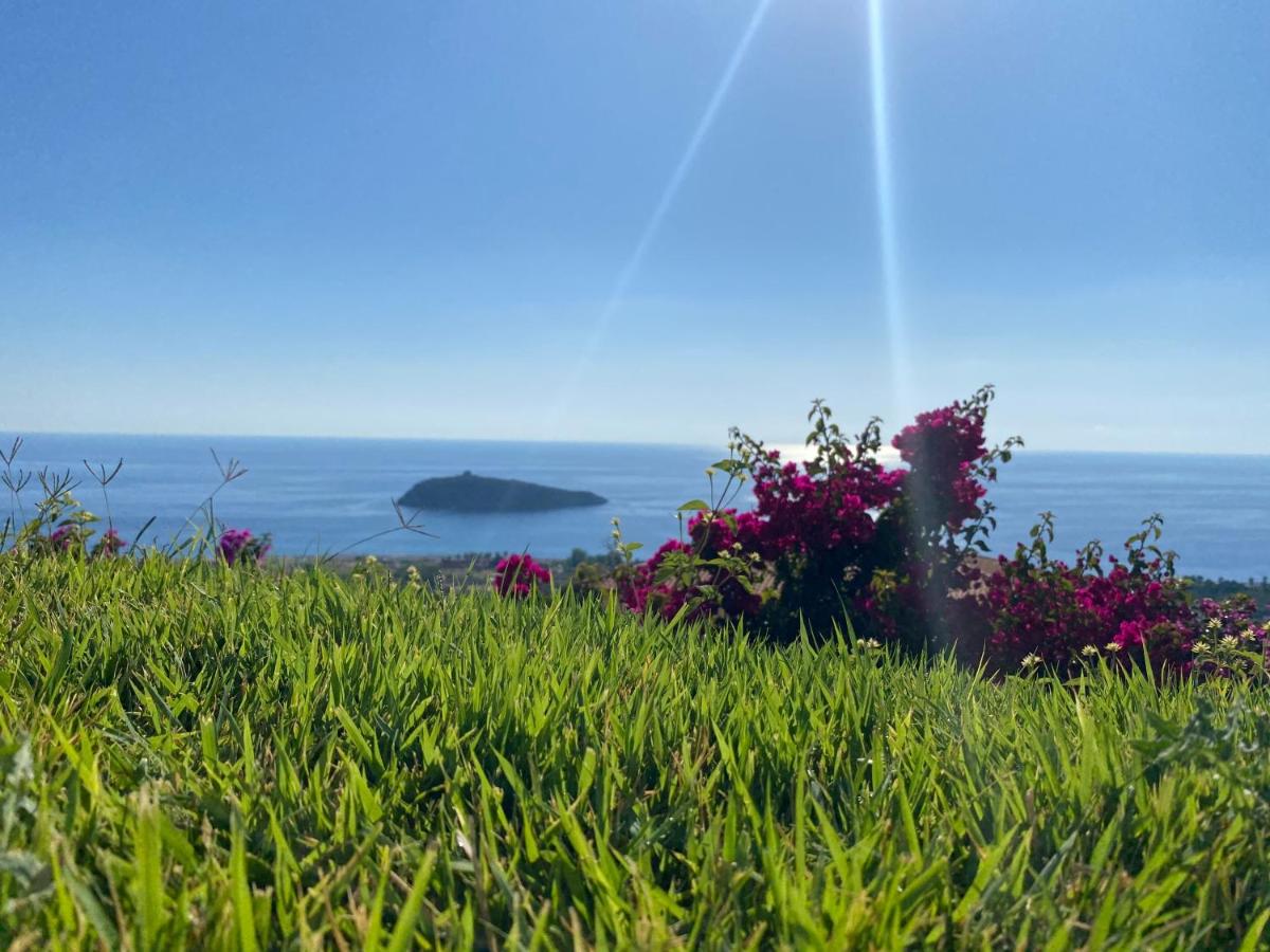 Luxury Villa Cirella happy island - B&B Diamante