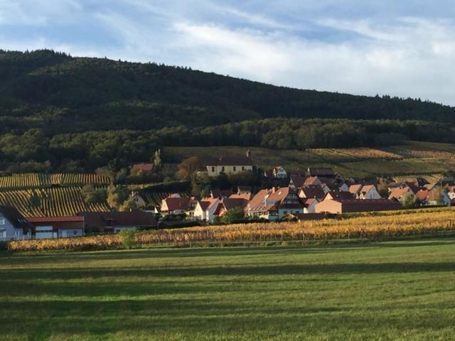Les papillons - Bed and Breakfast Dieffenthal