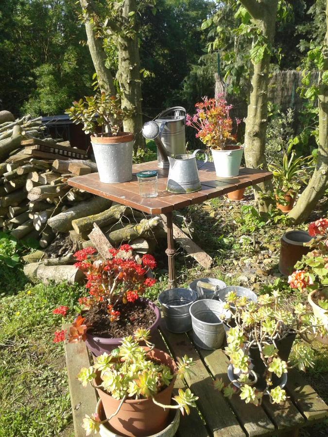 Studio met Uitzicht op de Tuin