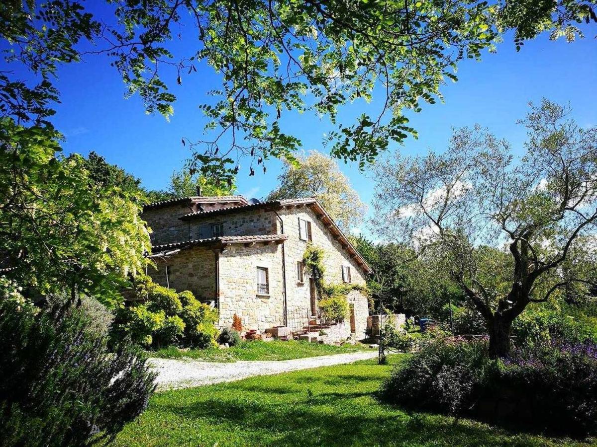 Agriturismo Montesalce - Bed and Breakfast Gubbio