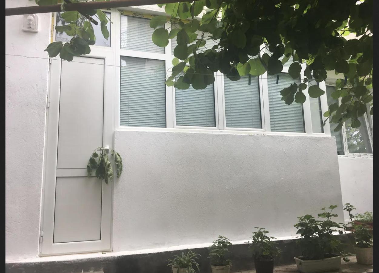 Private Room with lovely yard - B&B