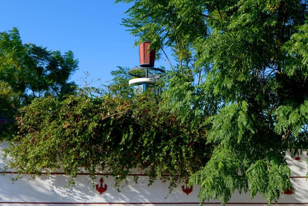 Flora's Garden House - close to Schinias beach - Ferienwohnung Schiniás