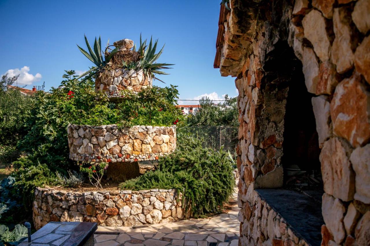 Green Oasis Apartment - B&B