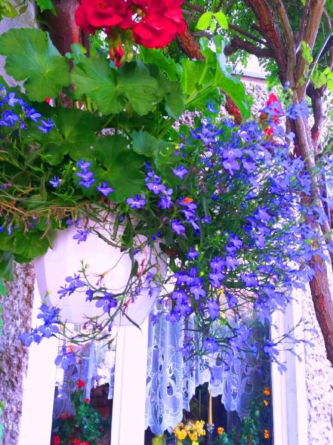 POD BLUSZCZEM - Ferienwohnung Swinemünde