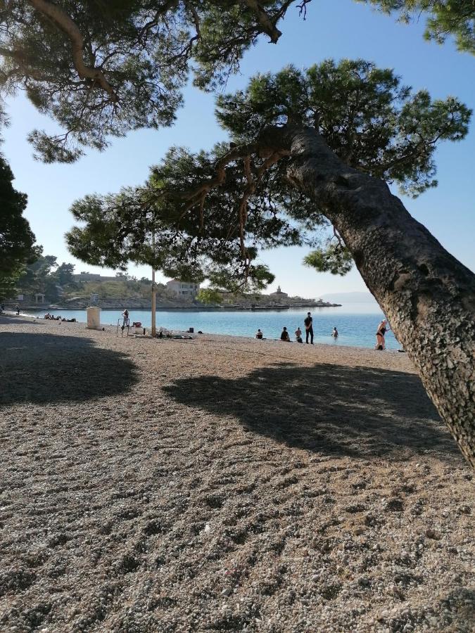 APARTMAN LAURA GALILEO blizu centra i plaze - B&B Makarska