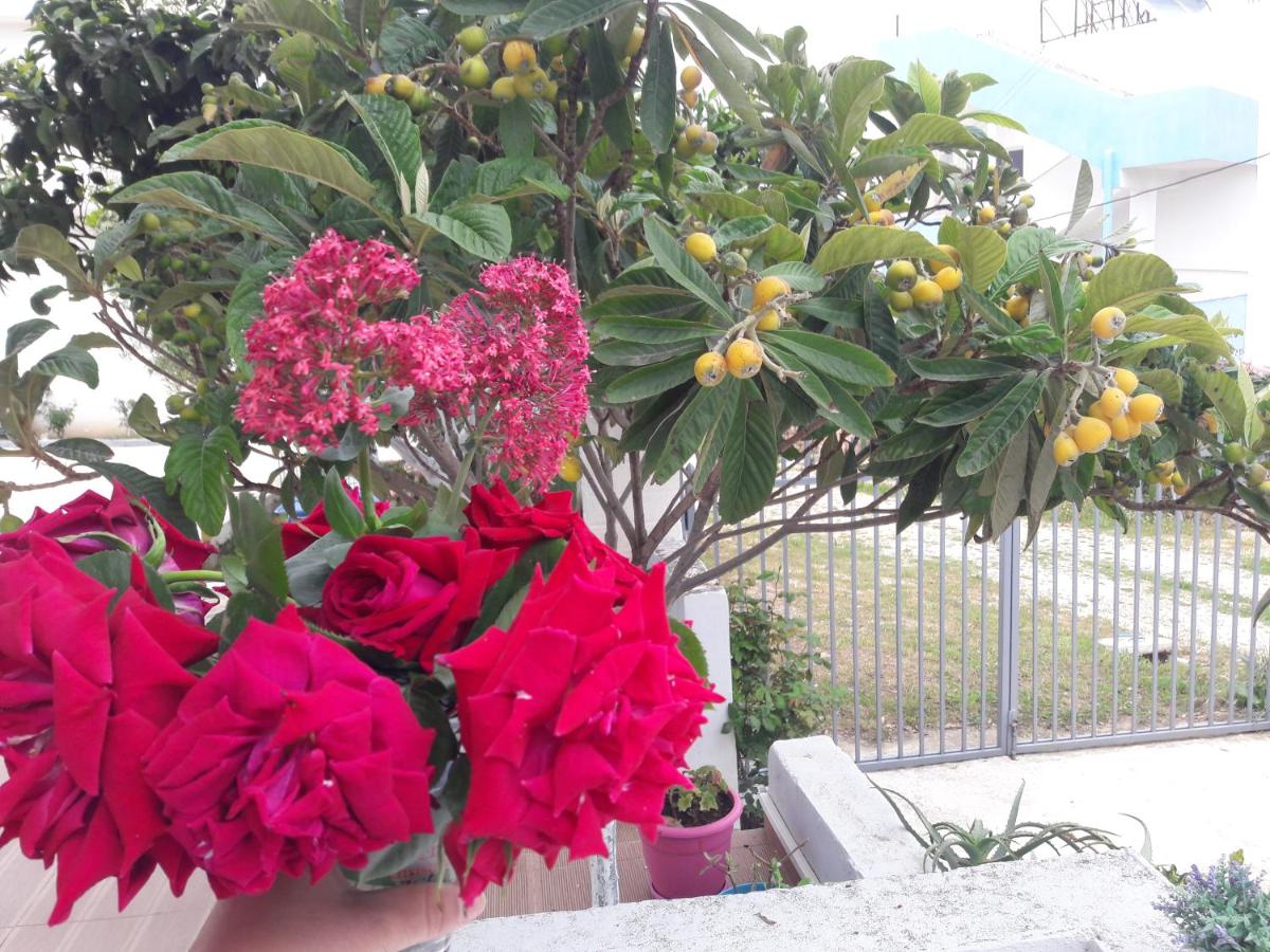 Chambre Quadruple - Vue sur Jardin