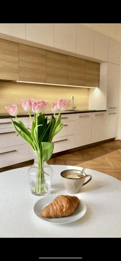 City center apartment - Ferienwohnung Königgrätz