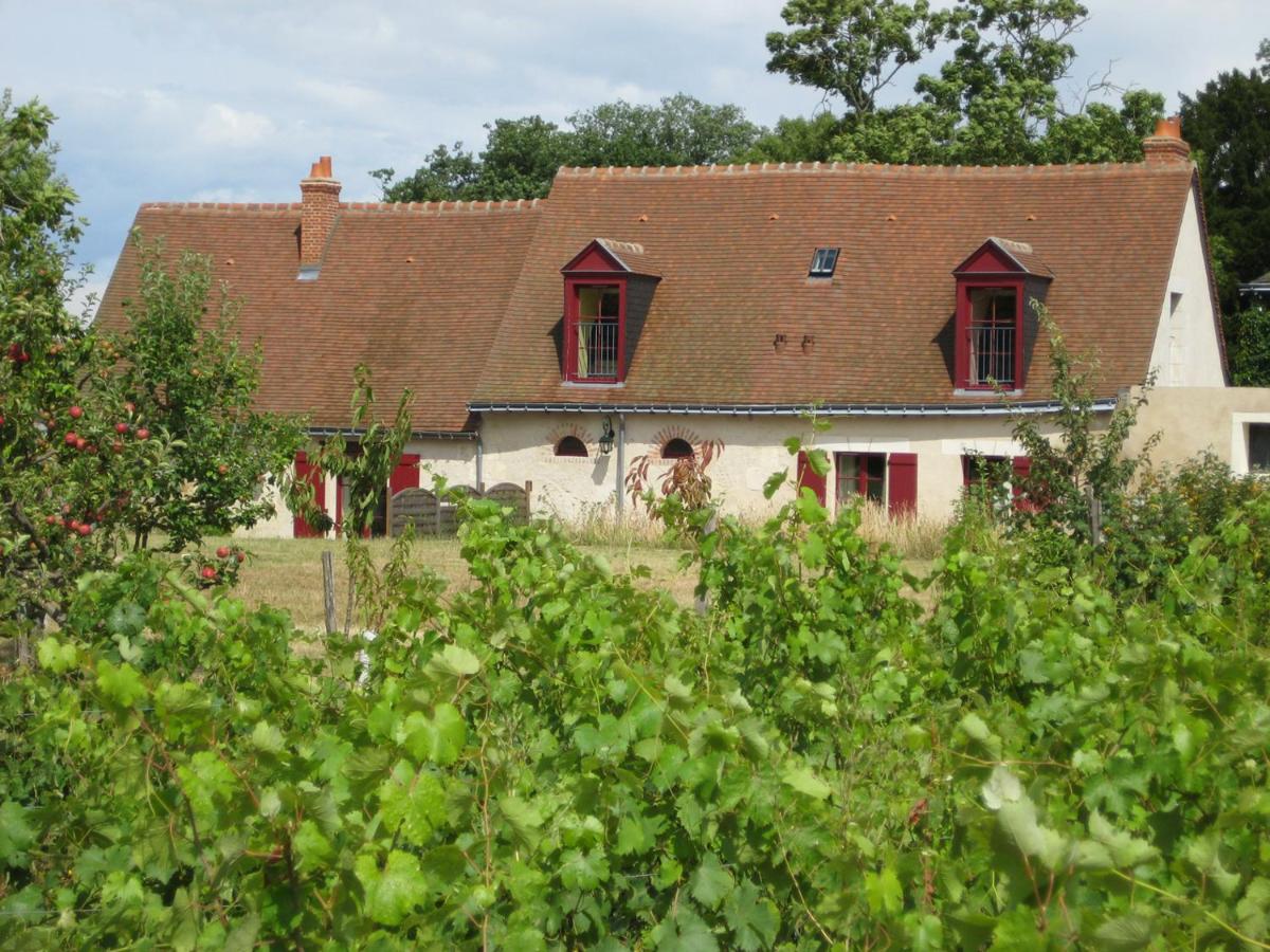 B&B Vernou-sur-Brenne - Cottage du vigneron - Bed and Breakfast Vernou-sur-Brenne