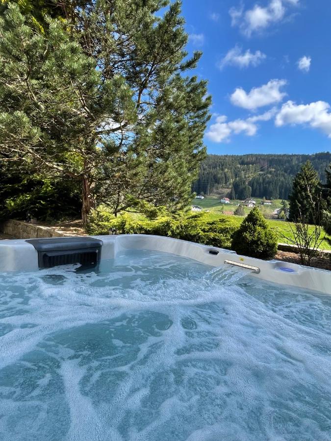 La Charbonnière, grand gîte haut-de-gamme avec jacuzzi et sauna - B&B