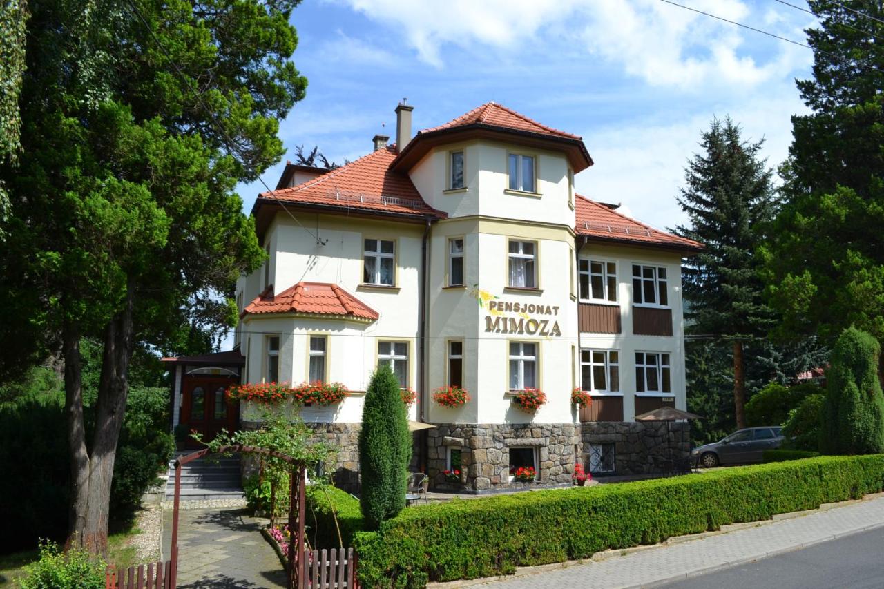 Pensjonat Mimoza - B&B Świeradów-Zdrój