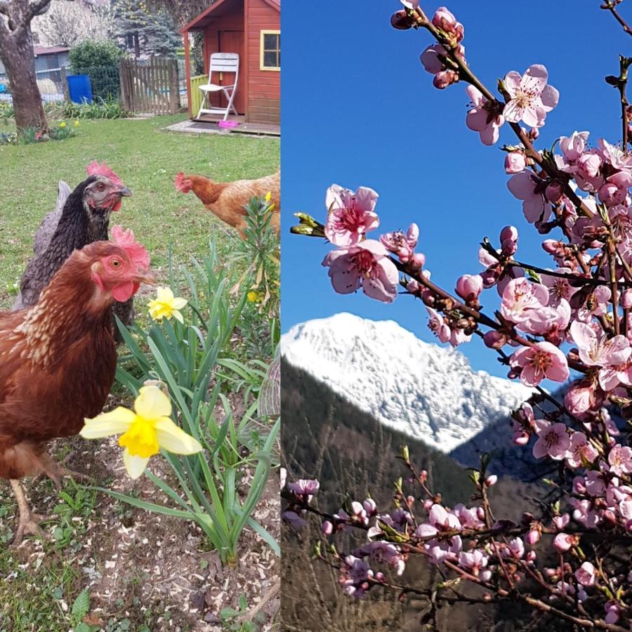 DETENTE NATURE rando, ski , thermes - B&B