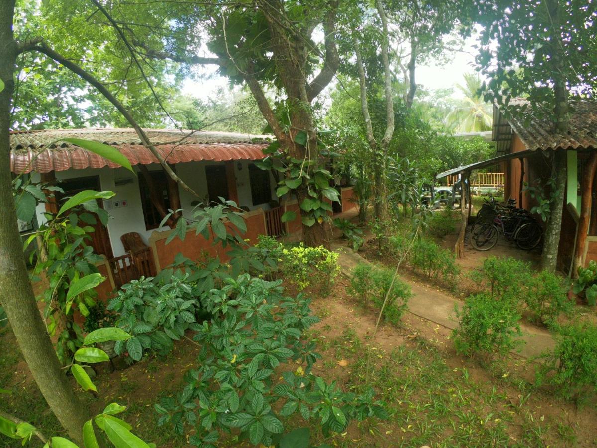 New Sisira Natural Lodge - B&B Sigiriya