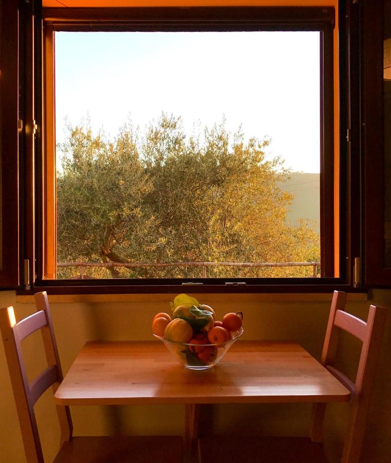 Studio with Terrace and Mountain View
