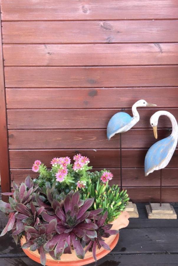 KaSper River House - B&B Ledine