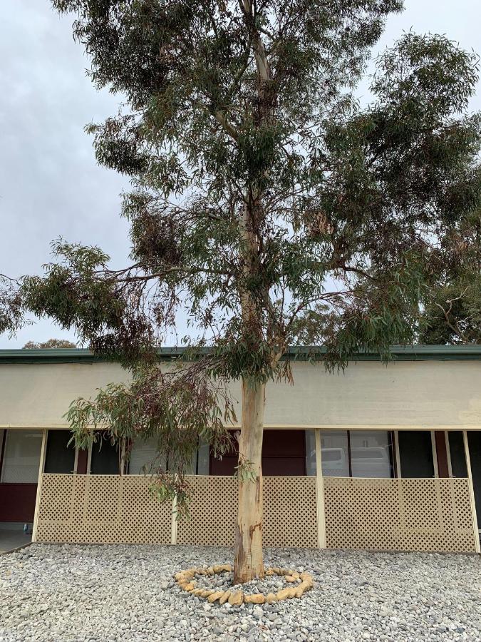 TORRUMBARRY MOTEL - B&B