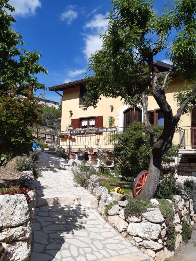 IL GIRASOLE - Chambres d’hôtes
