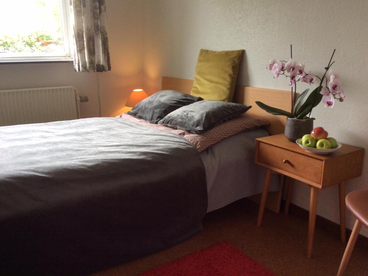 Single Room - B&B