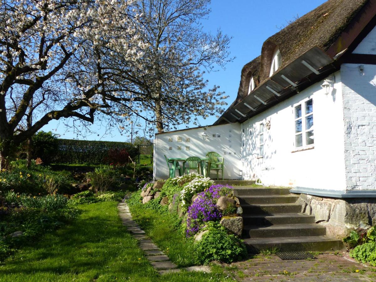 B&B Nardevitz - Ferienwohungen im Feriengarten DG - Bed and Breakfast Nardevitz