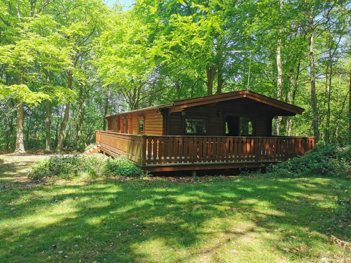 Fern Lodge - B&B