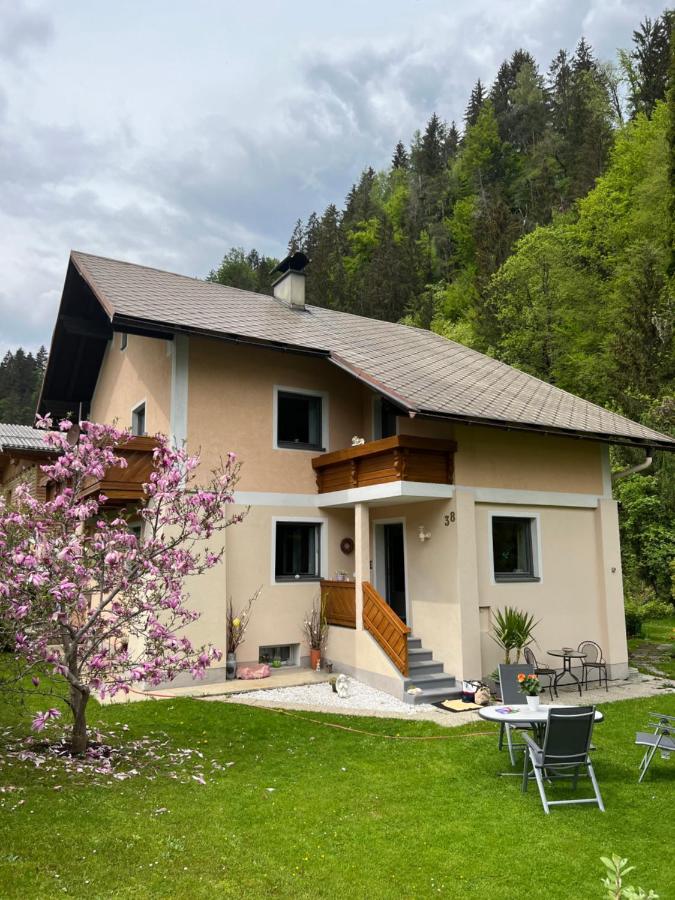 B&B Pfarrwerfen - Ferienhaus am Fritzbach - Bed and Breakfast Pfarrwerfen