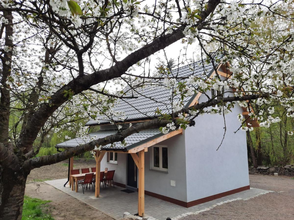 Noclegi Różanka - B&B