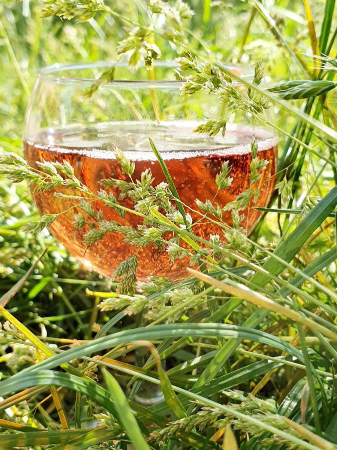 Riversight - Bed and Breakfast Deux-Acren