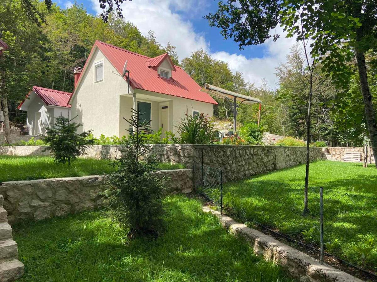 B&B Cetinje - Mountain house Ivanova Korita - Bed and Breakfast Cetinje