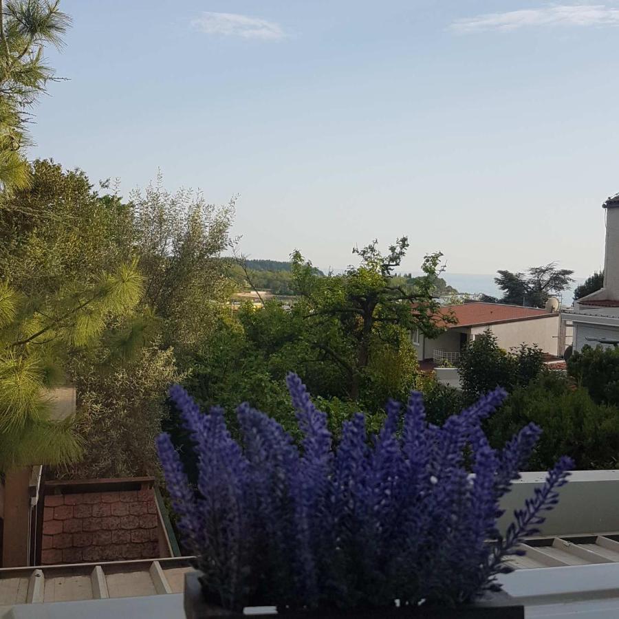 Apartment Rose Mareda - B&B Dajla