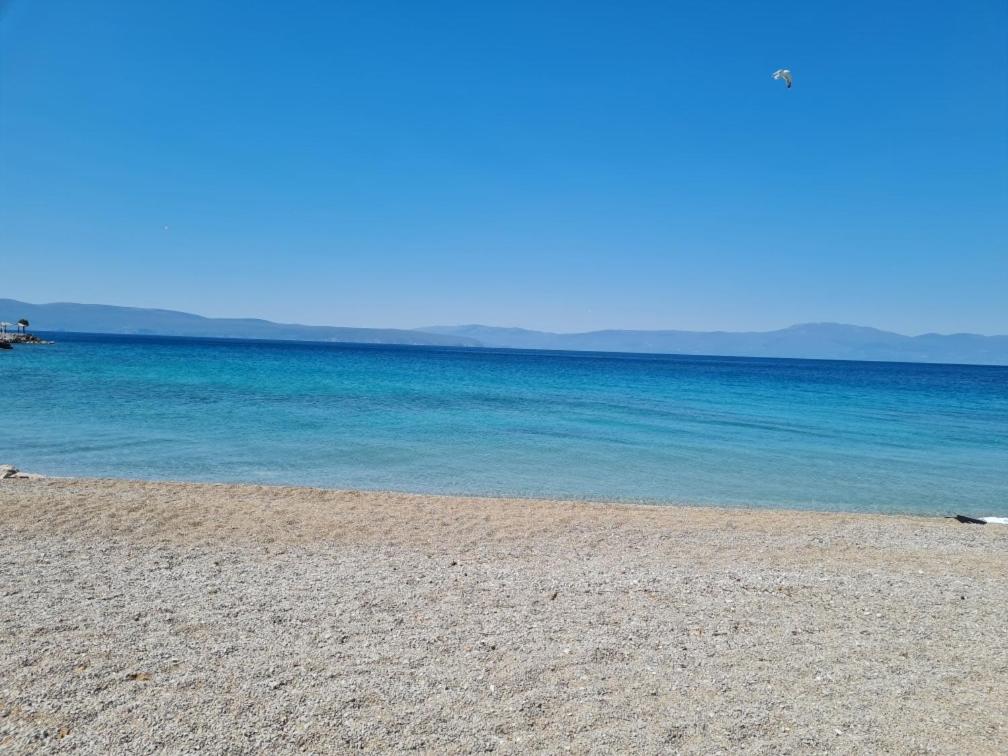 Apartman Mateo - Bed and Breakfast Njivice