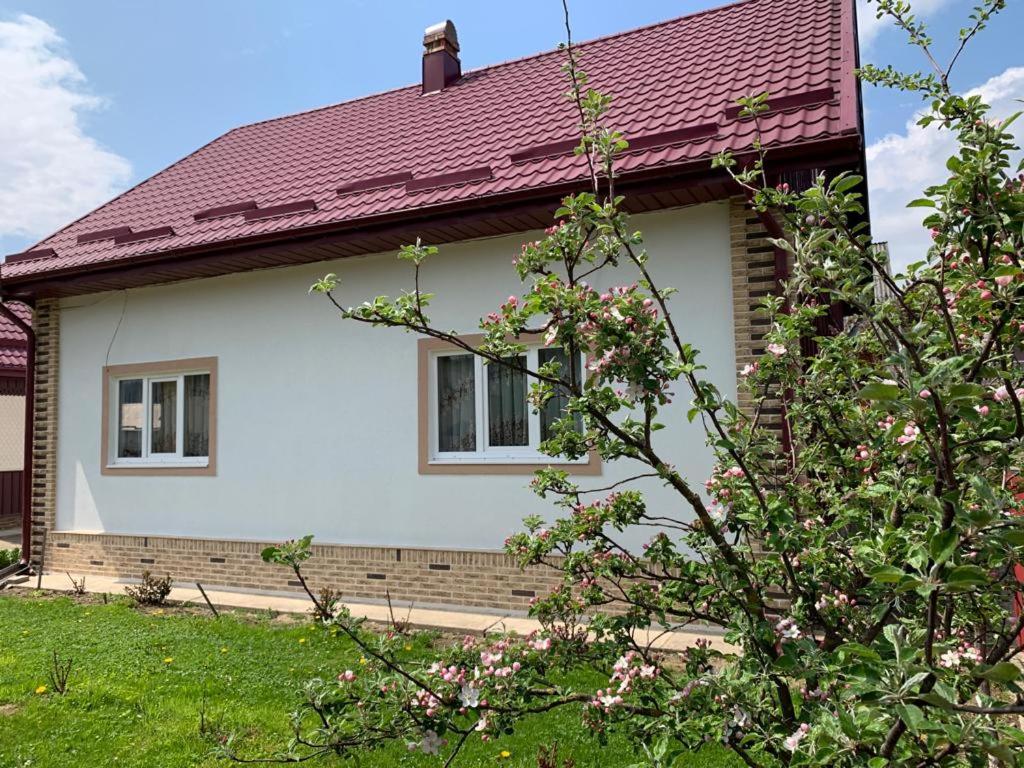 B&B Mănăstirea Humorului - Casa Maria - Bed and Breakfast Mănăstirea Humorului