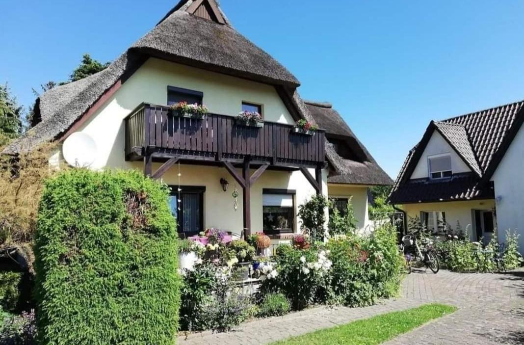 Apfelblüte - B&B Zingst