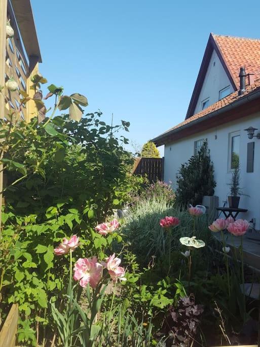 B&B Hundested - The Loft. Studio-apartment in old farmhouse - Bed and Breakfast Hundested