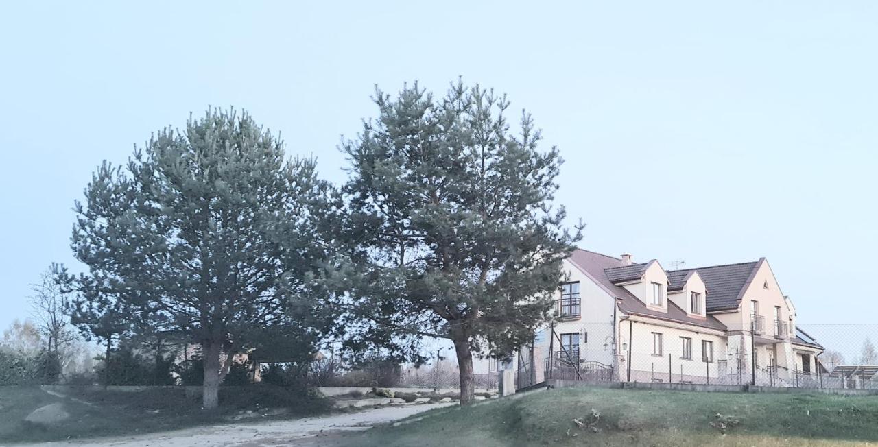 Apartamenty Sasinówka - B&B