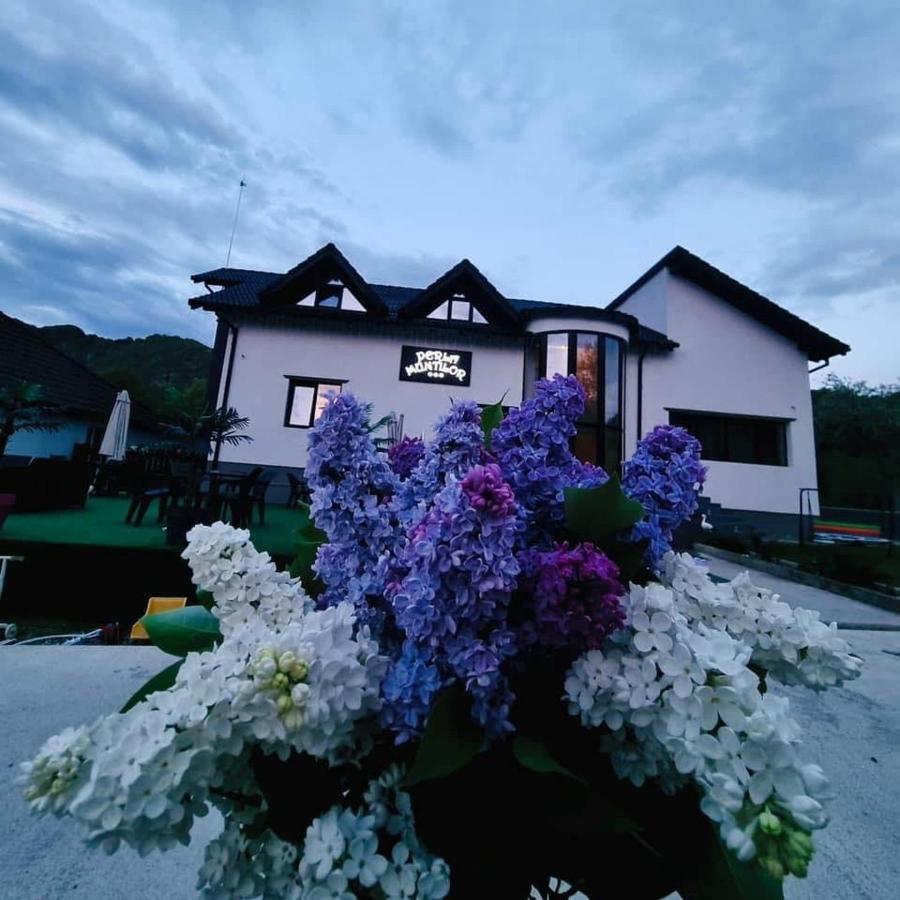 Perla Muntilor Ponoarele, Padurea de liliac - Ferienwohnung Ponoarele