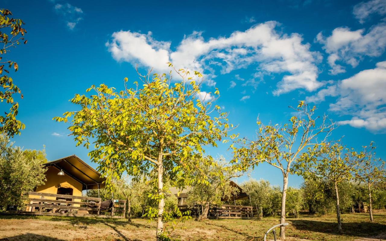 Safarilodge