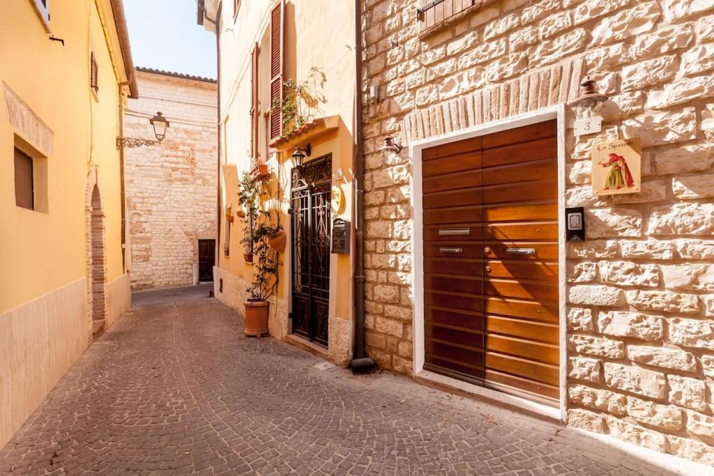 Lo Speziale - Ginepro - B&B Sirolo