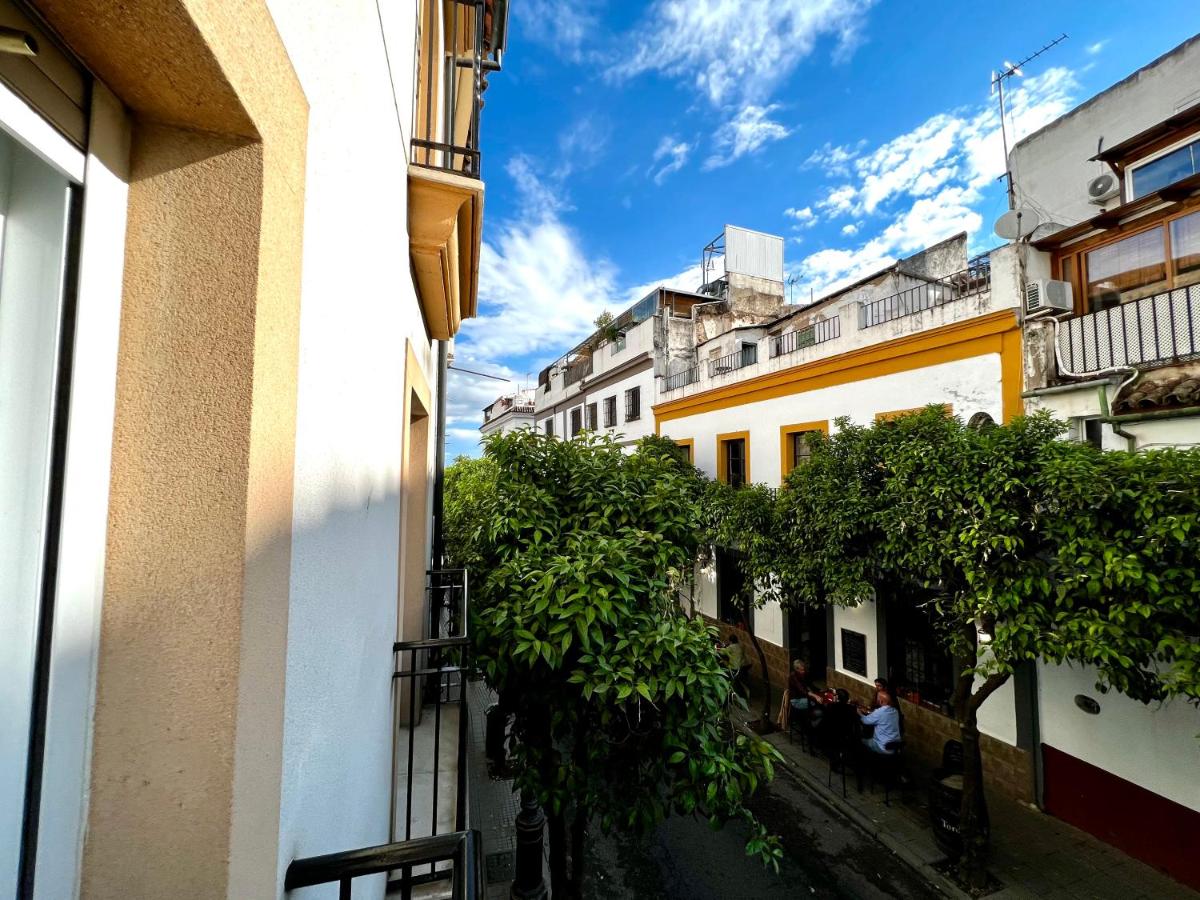 San Fernando de la Ribera - Bed and Breakfast Córdoba
