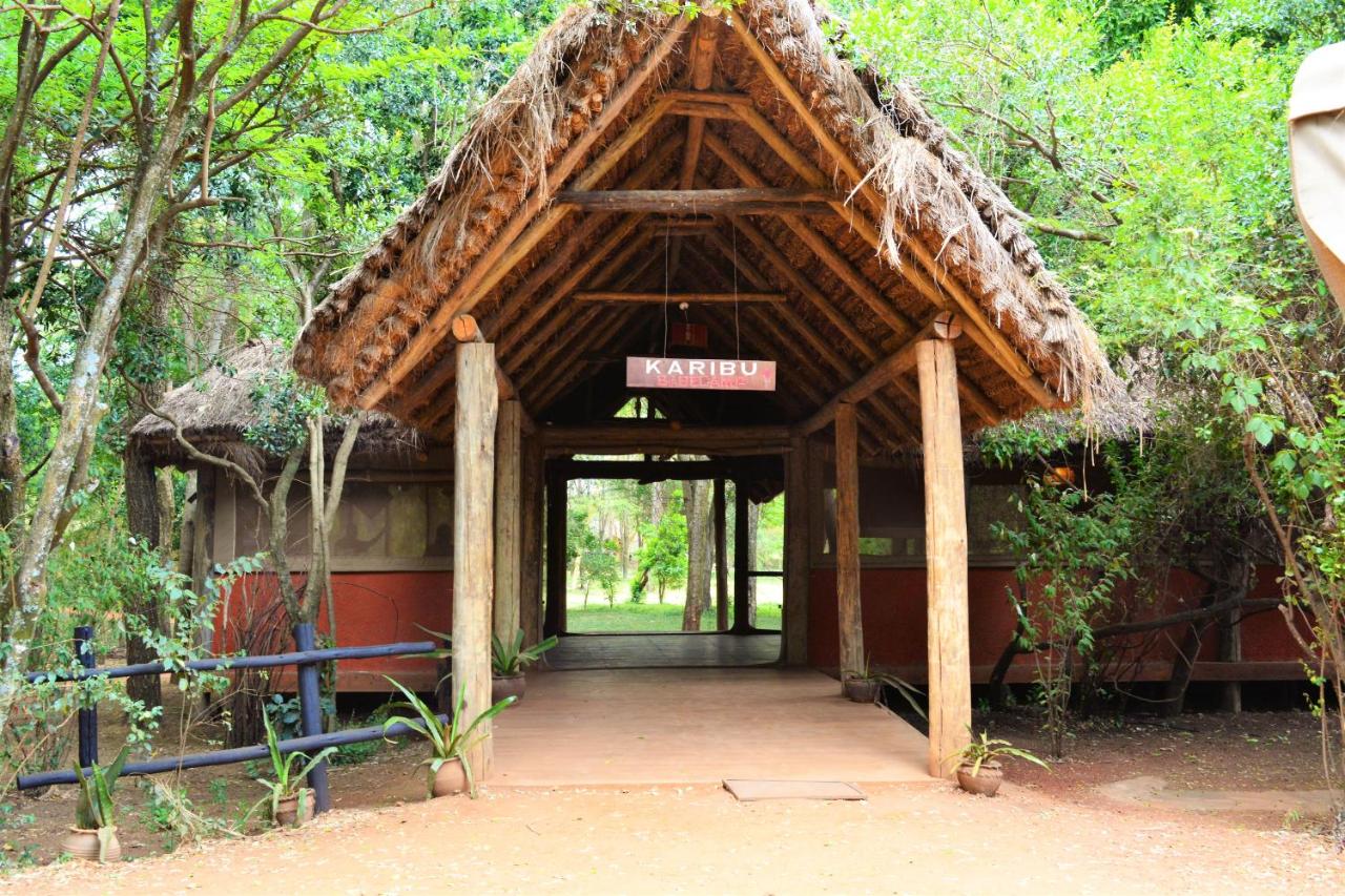 Basecamp Masai Mara - B&B