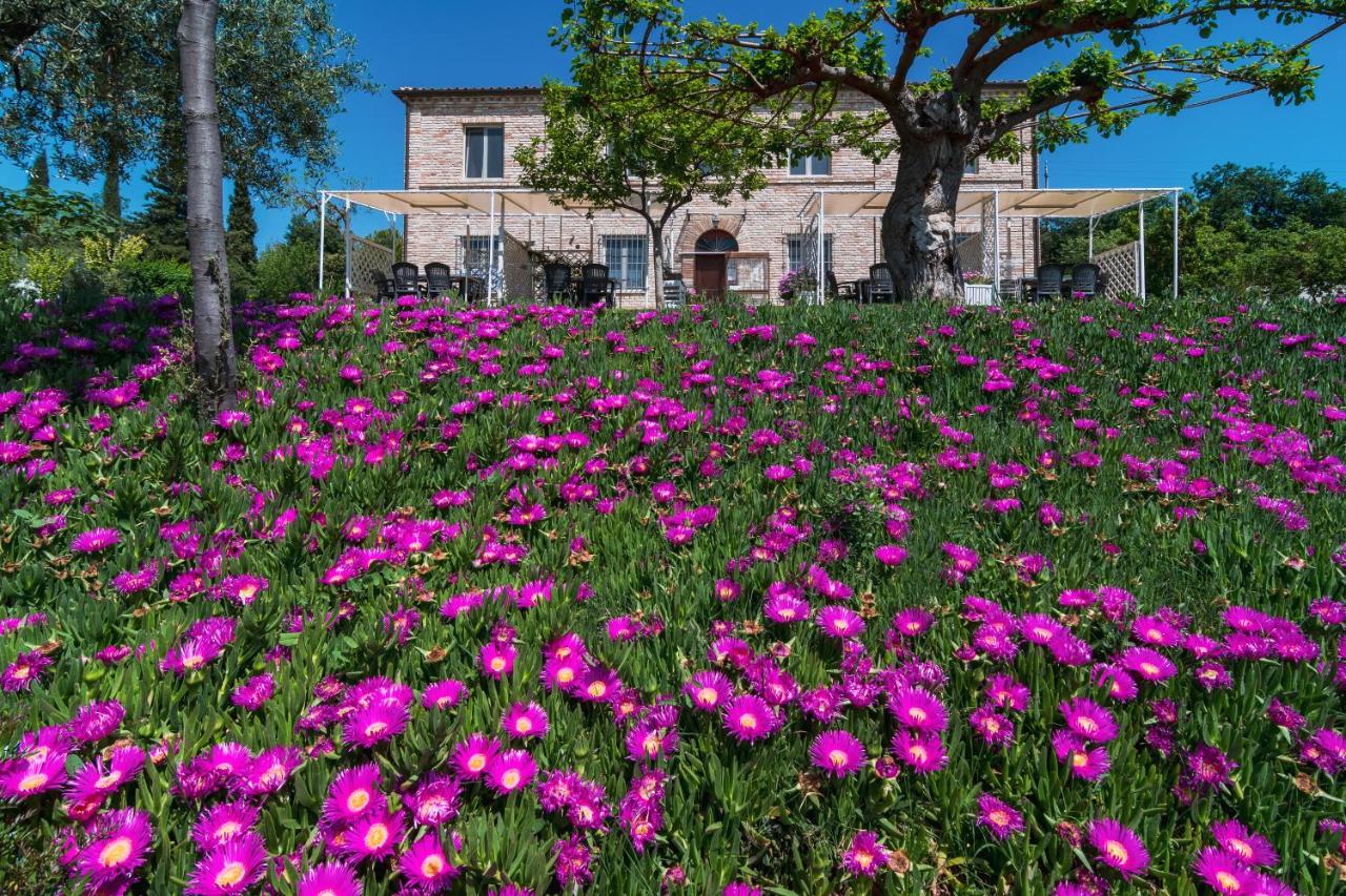 Agriturismo Case al Sole - B&B Loreto