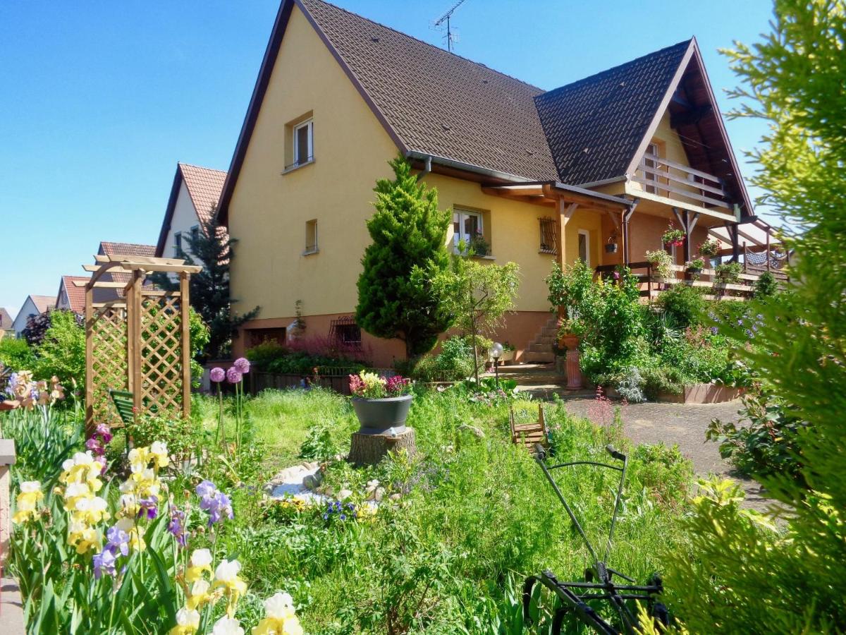 B&B Ammerschwihr - les lilas - Bed and Breakfast Ammerschwihr