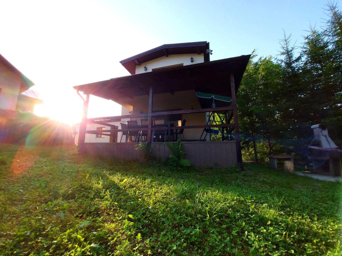 C House - B&B Buşteni