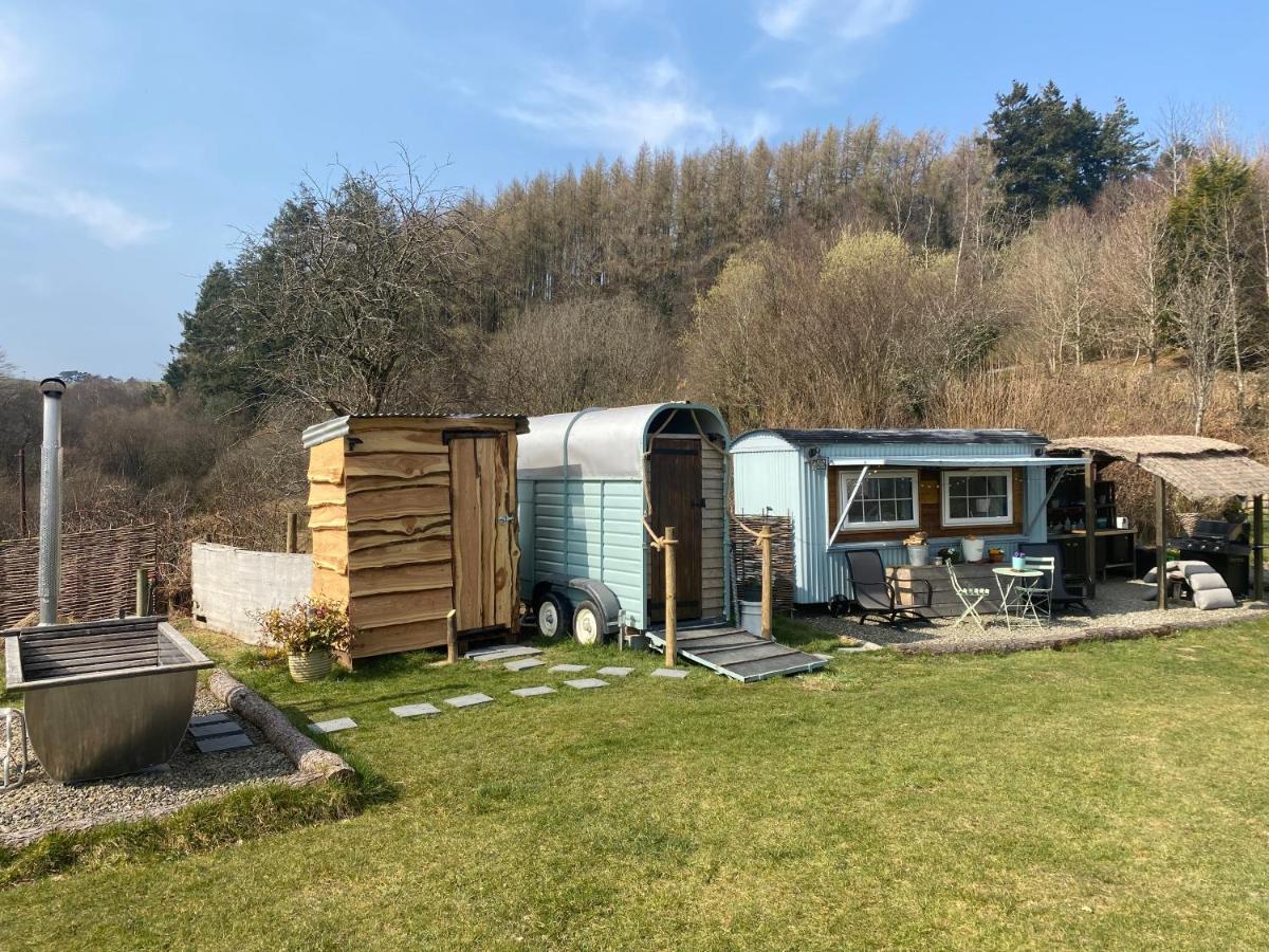 B&B Llanidloes - Belan Bluebell Woods Shepherds Hut - Bed and Breakfast Llanidloes