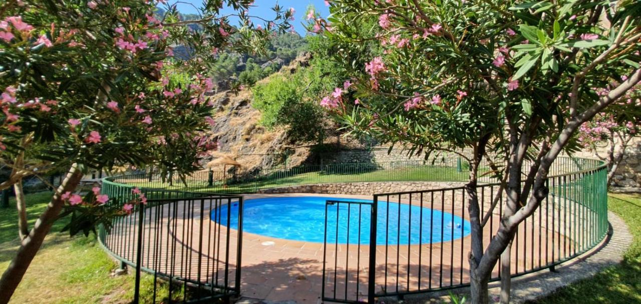 Casa el corzo - Chambres d’hôtes La Iruela