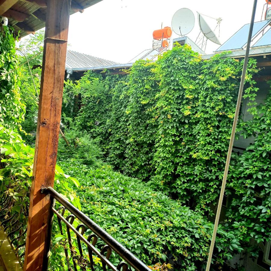 Hotel Botanical - Chambres d’hôtes Samarcande