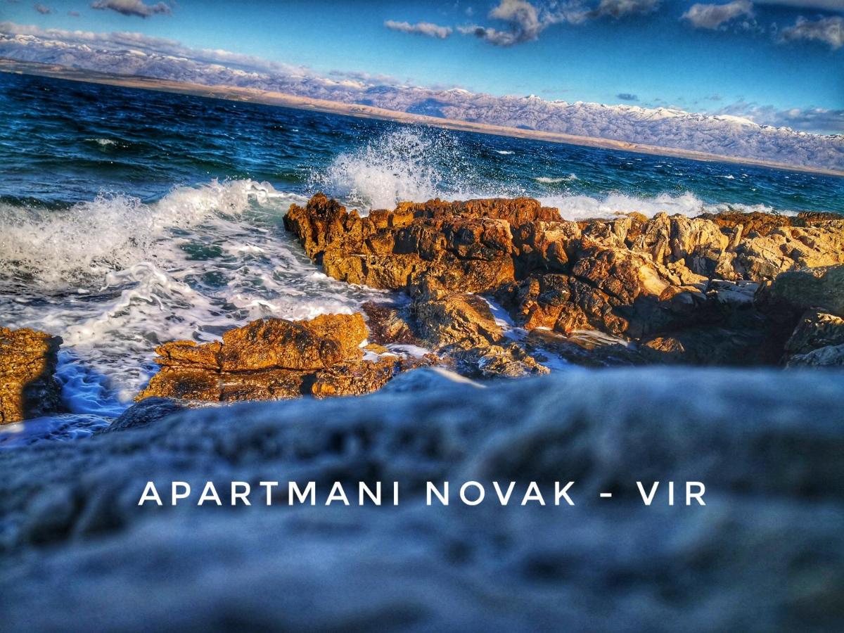 B&B Vir - Apartmani Novak - Vir - Bed and Breakfast Vir