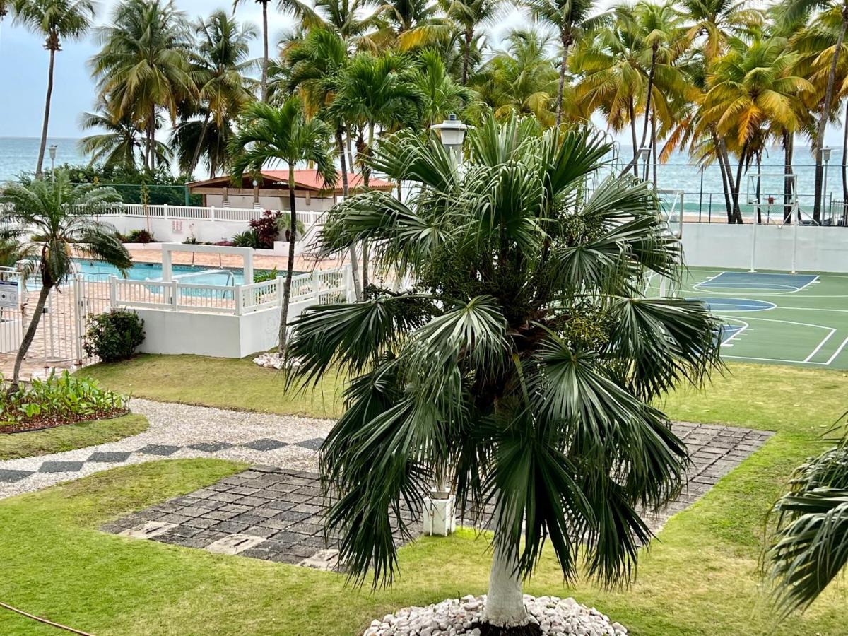 Beachfront Tropical Tantra Apartment - B&B