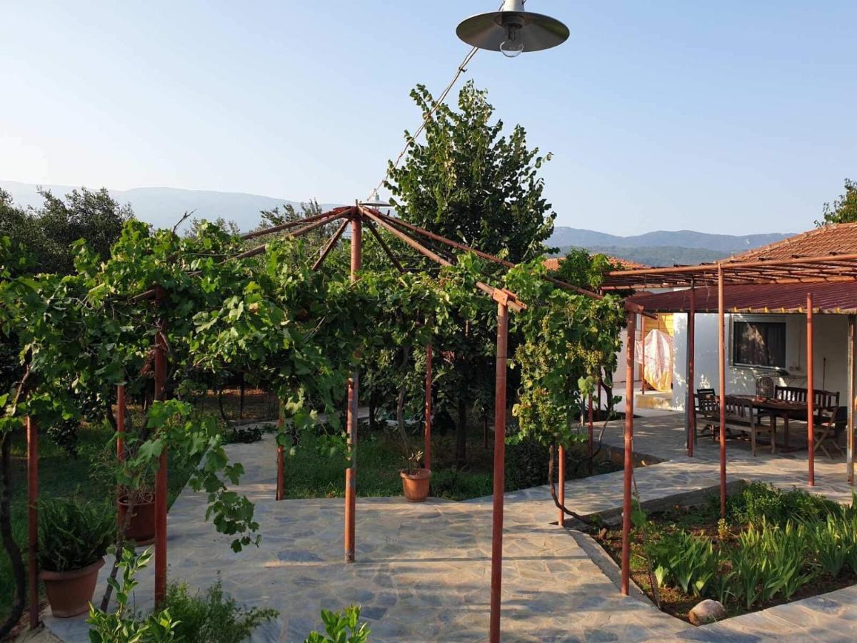 PILIO PARADISE GARDEN - B&B