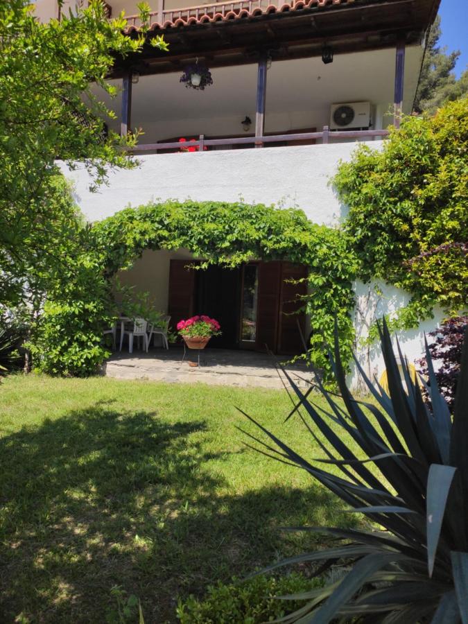 Cozy Villa in the woods next to the sea , 7 sleeps - B&B