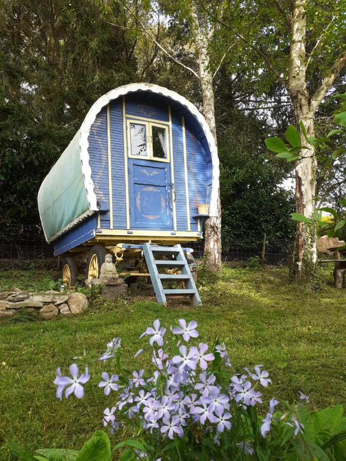 B&B Belle-Isle-en-Terre - Retraite rustique en bordure de forêt à la campagne - Bed and Breakfast Belle-Isle-en-Terre