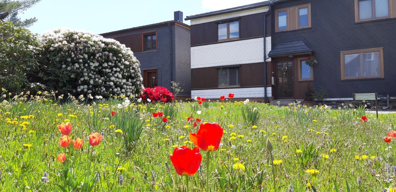 Ferienwohnung Berndt - Bed and Breakfast
